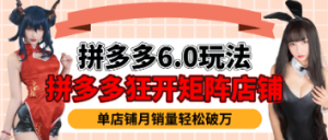 拼多多虚拟商品6.0玩法-阿鑫