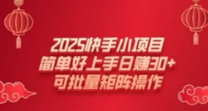 2025快手小项目，简单好上手日入30+，可批量矩阵操作-阿鑫