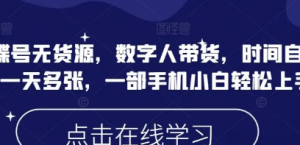 蝴蝶号无货源，数字人带货，时间自由，一天多张，一部手机小白轻松上手-阿鑫
