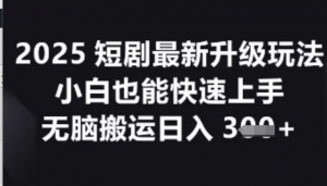 2025短剧最新升级玩法，小白也能快速上手，无脑搬运日入3张-阿鑫