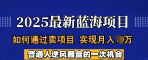 2025蓝海项目，普通人如何通过卖项目实现月入过W，全过程【揭秘】-阿鑫