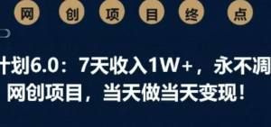 男粉计划6.0:7天收入1W+,永不凋谢的网创项目,当天做当天变现-阿鑫