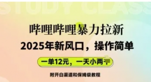 哔哩哔哩暴力拉新:2025年新风口，一单12元，一天数张(附开白渠道和保姆级教程)-阿鑫