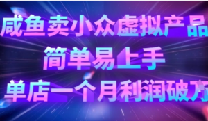 咸鱼卖小众虚拟产品，简单易上手，单店一个月利润破W-阿鑫