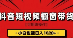 抖音短视频食品橱窗带货，小白轻松上手日入1k+【揭秘】-阿鑫
