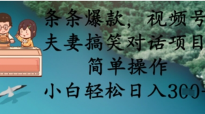 条条爆款，视频号夫妻搞笑对话项目，简单操作，小白轻松日入3张+-阿鑫