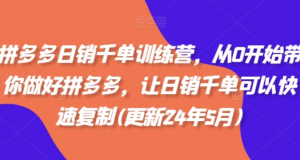 拼多多日销干单训练营，从0开始带你做好拼多多，让日销干单可以快速复制(更新25年3月)-阿鑫