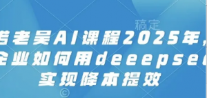 天诺老吴AI课程2025年，电商企业如何用 deeepseek实现降本提效-阿鑫