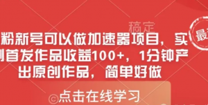 0粉新号可以做的加速器项目，实测首发作品收益100+，1分钟产出原创作品，简单女做-阿鑫