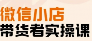 微信小店带货实操课,基础操作到高级运营技巧,快速上手-阿鑫