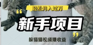 利用老外躲猫猫大赛视频，挣分成收益，操作简单，新手小白，轻松月入过W-阿鑫