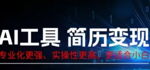 AI工具简历制作变现，专业化更强，实操性更高，更适合小白-阿鑫
