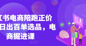 小红书电商陪跑正价课，小红书官方认证电商讲师教学，日出百单选品，电商掘进课-阿鑫