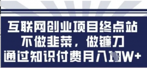 互联网创业尽头-不做韭菜，做镰刀，通过知识付费月入10个【揭秘)-阿鑫