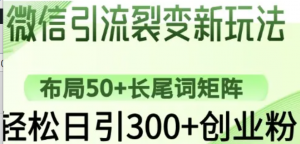 微信引流裂变新玩法:布局50+长尾词矩阵，轻松日引300+创业粉-阿鑫