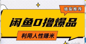 咸鱼0撸玩法利用人性售卖商品达到日挣2 张的效果!-阿鑫