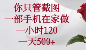 你只管截图，一部手机在家操作，一小时120.一天5张【揭秘)-阿鑫