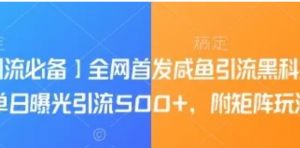 引流必备】全网首发咸鱼引流黑科技，单日曝光引流500+，附矩阵玩法揭秘-阿鑫