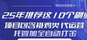 25年推荐这10个副业项目包含褂鸡类、代运营托管类、全自动打金类【揭秘】-阿鑫