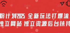 男粉计划2025 全新玩法打爆流量 独立网站独立资源后台扶持【揭秘)-阿鑫