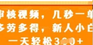 审核视频,几秒一单,多劳多得,新人小白一天轻松3张【揭秘)-阿鑫