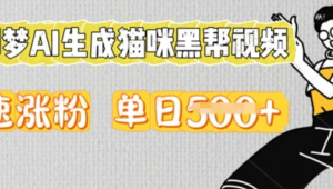 用即梦AI生成猫咪黑帮视频，迅速涨粉，单 日5张-阿鑫