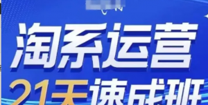 淘系运营21天速成班(更新25年2月)，0基础轻松搞定淘系运营，不做假把式-阿鑫