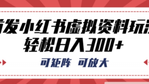 首发小红书虚拟资料玩法，可矩阵，可放大，轻松日入3张-阿鑫