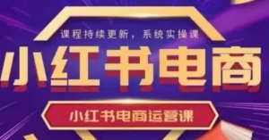 小红书电商运营实操课,新手从0~1落地实 操-阿鑫