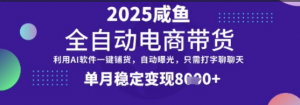 全网首发【闲鱼全自动电商带货】三年磨一剑,一朝露锋芒,单月稳定变现8k+【揭秘】-阿鑫