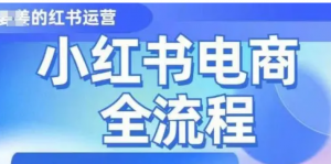 小红书电商全流程，精简易懂，从入门到 精通，学这一门就够了-阿鑫