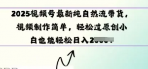 2025视频号最新纯自然流带货，视频制作 简单，轻松过原创小 白也能轻松操作-阿鑫