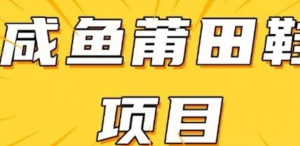 闲鱼高转化项目，手把手教你做，日入3张+(详细教程+货源)-阿鑫