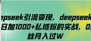 deepseek引l流变现，deepseek被动日加1000+私域粉的实战，0粉丝月入过W-阿鑫