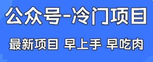公众号冷门赛道，早上手早吃肉，单月轻松稳定变现1W【揭秘】-阿鑫