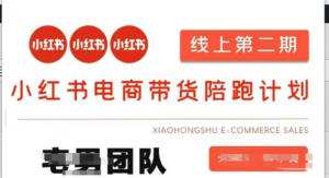 小红书电商带货课2期，月利润20个的小红书电商的有货源，无货源，虚拟产品，付费 投流等整套玩法-阿鑫