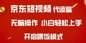 京东短视频代运营，全程喂饭，小白轻松上手【揭秘】-阿鑫