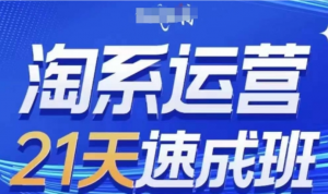 淘系运营21天速成班(更新25年3月)，0基础轻松搞定淘系运营，不做假把式-阿鑫