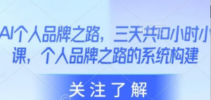 AI个人品牌之路,三天共10小时小课,个人品牌之路的系统构建-阿鑫