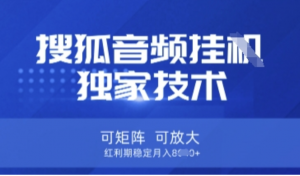 搜狐音频挂G】独家技术，可矩阵可放大，红利期稳定月入8k揭秘)-阿鑫