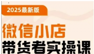 2025最新版微信小店带货者实操课，基础操作到高级运营技巧，快速上手-阿鑫