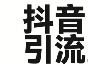 2025年抖音最新暴力引流法，只需一个视频加一段文字，简单操作，单日引300+创业粉-阿鑫