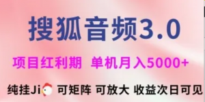 搜狐音频挂ji3.0.可矩阵可放大，独家技术，稳定月入5000+【揭秘)-阿鑫