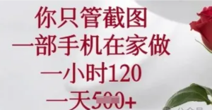 你只管截图,一部手机在家做,一小时120.一天5张【揭秘)-阿鑫
