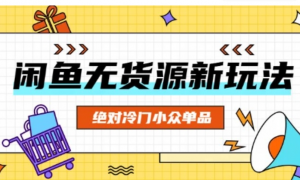 闲鱼无货源冷门单品项目，绝对冷门小众单品-阿鑫
