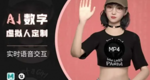 Ai数字人虚拟(智能体)实时语音交互特训营，自行定制超写实角色AI数字人交互技术-阿鑫