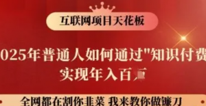 互联网项目天花板,2025年普通人如何通过知识付费实现年入百个【揭秘】-阿鑫