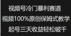 视频号冷门暴利赛道视频100%原创保姆式教学起号三天收益轻松破千-阿鑫