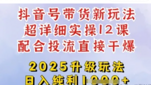 2025全新升级抖音带货玩法，一天纯利四位数，从剪辑到选品再到发布投流，超详细玩法揭秘-阿鑫