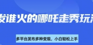 利用deepseek制作谁发谁火的哪吒2人物走秀视频，多平台发布多种变现-阿鑫